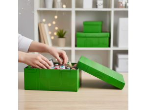 Caixa Organizadora Mini/Sapato Verde